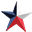 dallascounty.org
