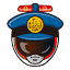 iisgcp.org