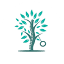 lindemanchiropractic.com