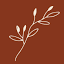 lizeidelman.com