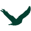 merckforest.org