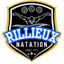 rillieux-natation.fr