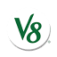 tryv8.com