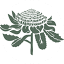 wsc.nsw.gov.au