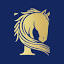 yourridingsuccess.com