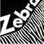 zebrasnowboard.com