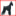 azzumagiantschnauzers.com