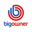 bigowner.co.id