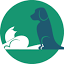 curavet.ch
