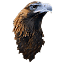 eagleyehg.com