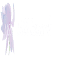 mssresearch.org