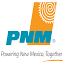 pnmhomecheckup.net