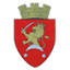 primariasingerei.md