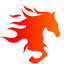 sphindia.org