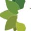 yutikanatural.com