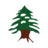 alarz.co.il