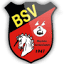 bsv-sportportal.de