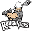 calgaryroughnecks.com