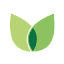 conseil-jardinage.com