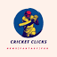 cricketclicks.com