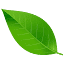 eco-posuda.by