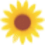 fleursdesoleil.fr