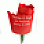 justpaperroses.com