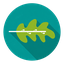 rumoadefensoria.com