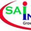 saiinfotech.net