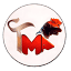 t-ma.ir