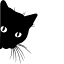 tringgo.com