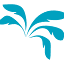 windsurfer.com.au