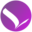 wingsinfo.net