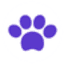 catsmastery.com