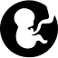 drammaranaveed.com