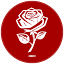 envioflores.com