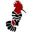 hoopoe.com