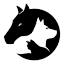 onpointvetservices.com