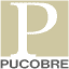 pucobre.cl