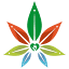 thekif.com