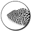 timcoster.com