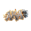 akaroyce.com