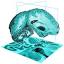 bigbrainproject.org
