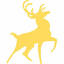 cacciapassione.com