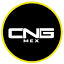cngmex.com