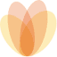 durhamwomenscenter-obgyn.com
