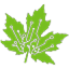 electrorecycle.ca