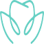 mynaturaldentist.com