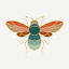 shopbees.com