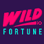 wildfortune.com